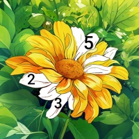 Color Flow Android下载