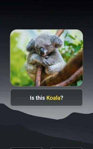 38d65f9d8a5a7740f09a669508d47aaf