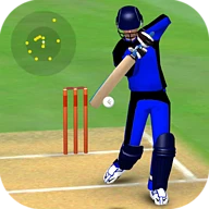 Smashing Cricket Android下载