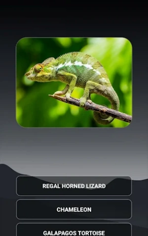 70535983528a8fdd9f59a90188944280