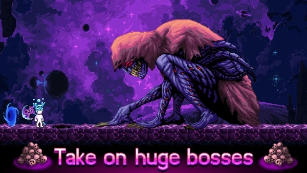 8bae130fa5826d73650456d80a514b48