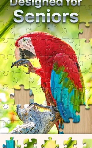 9c86ef7115280ca4da517fe85e4174fd