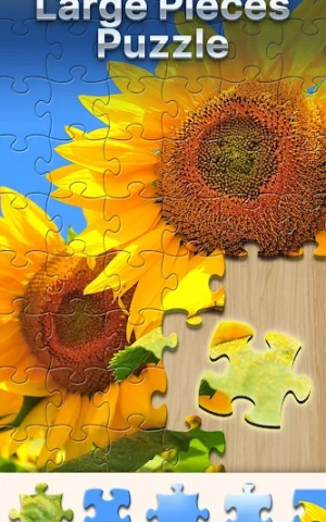 cfc53baa286a8d9c4663b5c6494f56c4