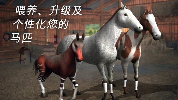 d21c63c65f2691fbde51e852e1a31d2c