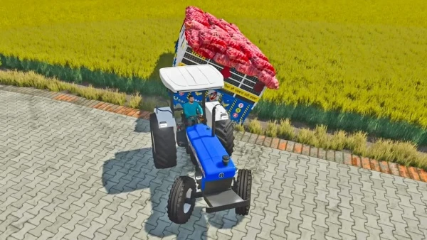 ef1c687199ba1d2c97d00783f6e5dc56