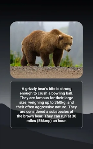 f748d9ada8139960ca63c8fd371da159