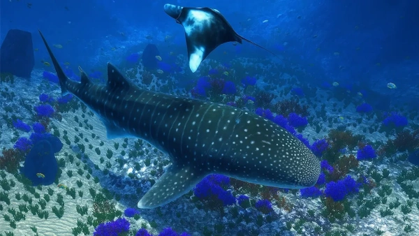 0a1e829593087712a23325c368854195