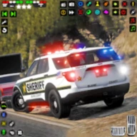 Real City Police Car Chase Android 123云盘下载