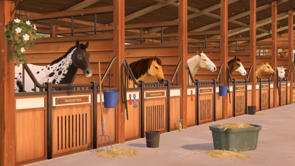 8539c9cb4b84caf3ffd042932e5380b3