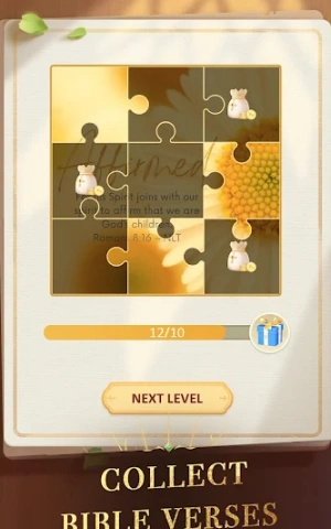 8c6042cf0b82e04f64c3077e5e16fb88