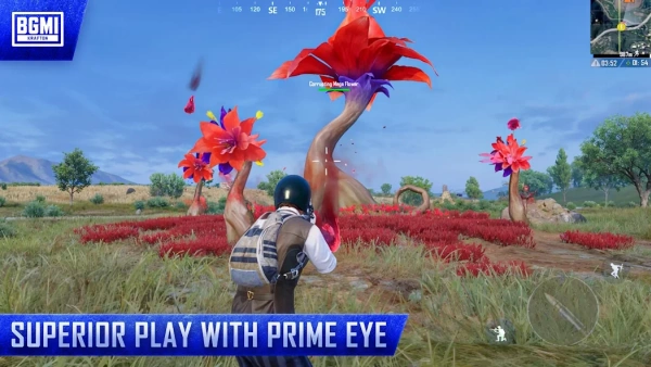 9daed7107f5c6ad3bdfb9473fbdb549f