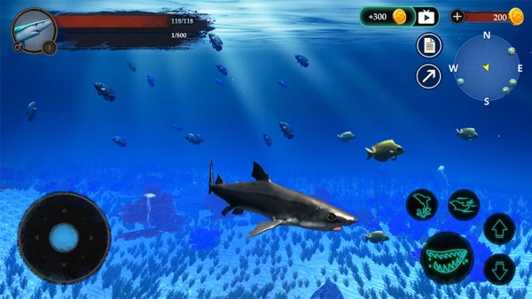 a0ff11b9505a47ff5f46affdc5f94424