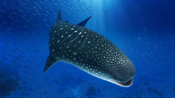 a200097473a0f121913db0f60fb9b7f5