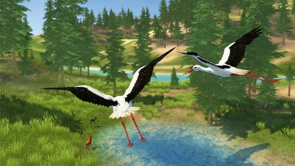 e4804f539932944790f7476a708e5185