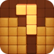 Wood Block Puzzle Games Android 123云盘下载