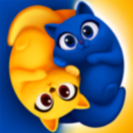 猫咪分类尾巴扭扭 Android 123云盘下载