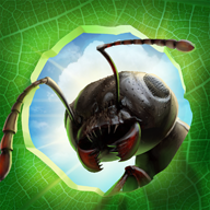 蚂蚁军团 Android 123云盘下载