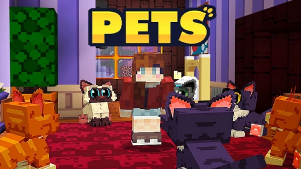 852ee5315dae0dea47bceab7011039a3