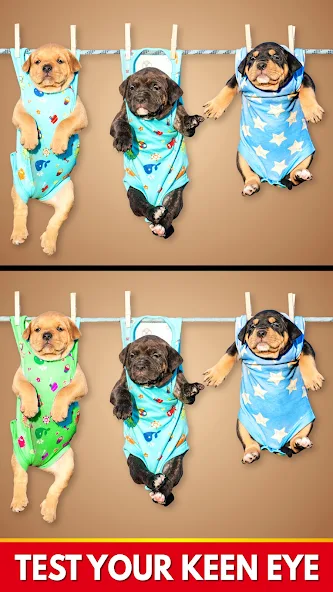 8d6bb1875a862026bc4d4b53b81f5e5d