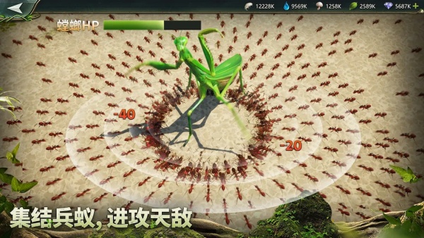 c2aeba5f609eaecee1c999249470c934