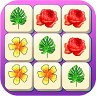 Tile King安卓xapk123云盘下载