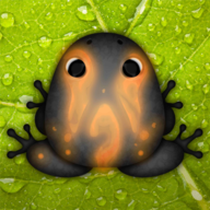 Pocket Frogs安卓xapk123云盘下载