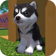 Cute Pocket Puppy 3D Part 2安卓apk123云盘下载
