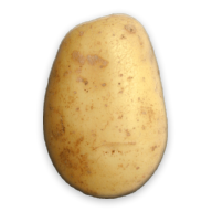 Potato安卓xapk123云盘下载