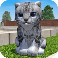 Cute Pocket Cat 3D Part 2安卓apk123云盘下载