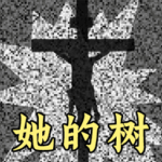 时间解谜者小米渠道服安卓apk123云盘下载